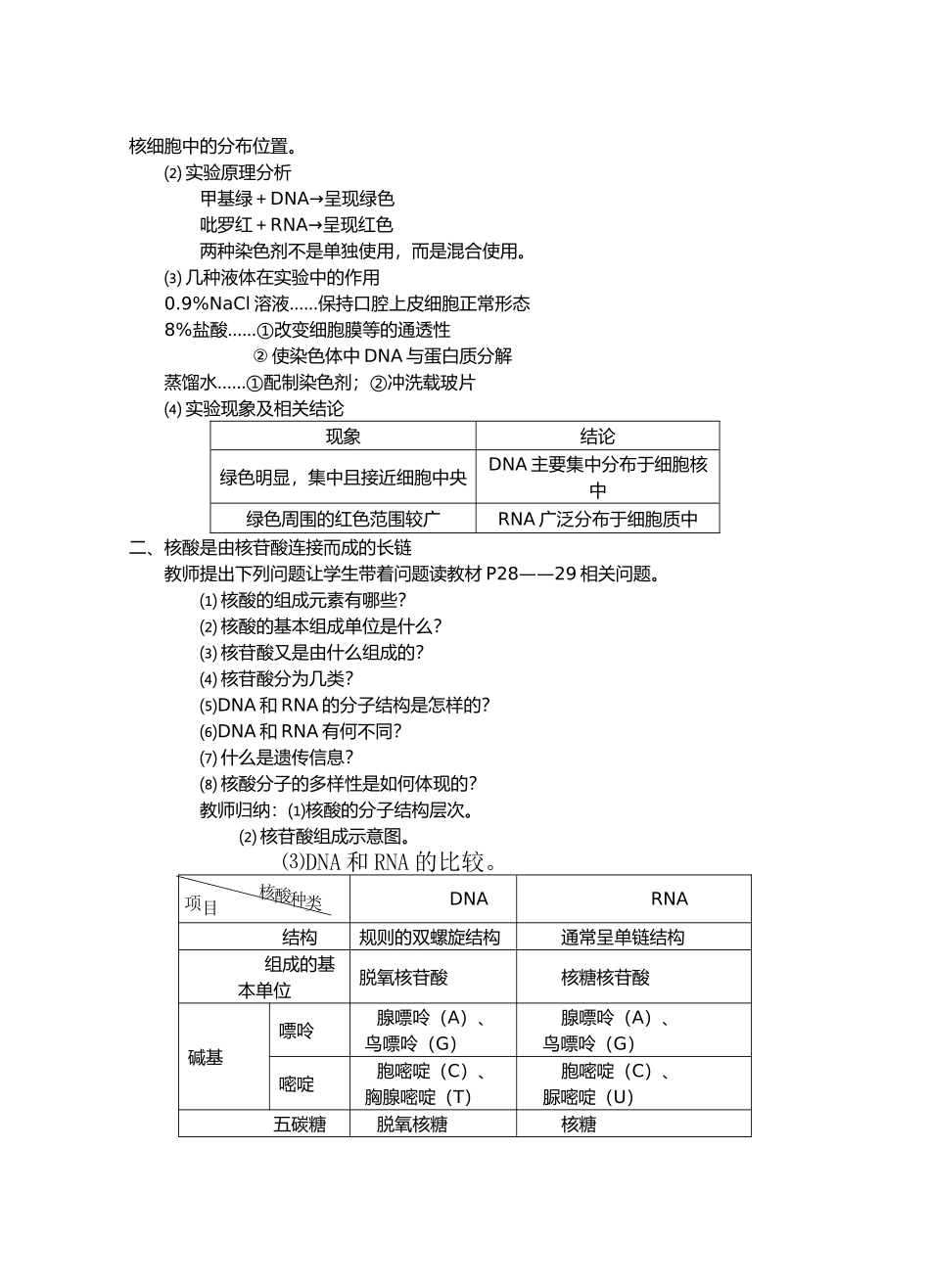 2.3遗传信息的携带者——核酸_第2页