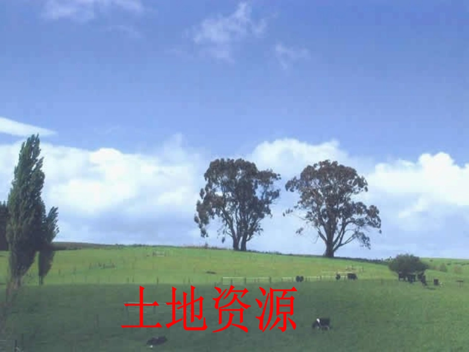 《以人为本-科学发展》课件4_第3页