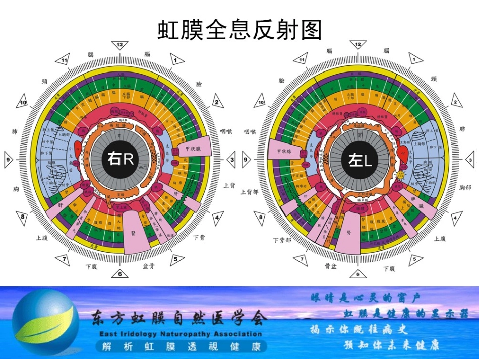 天津权健自然医学--HSK虹膜全息检测系统操作说明[1]_第2页