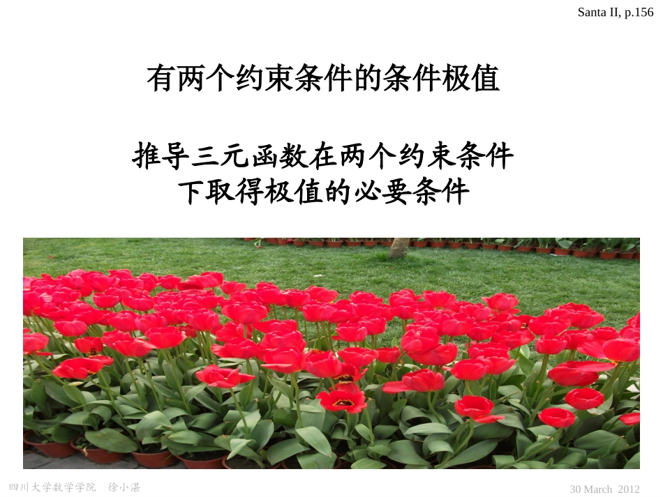 有两个约束条件的条件极值_第1页