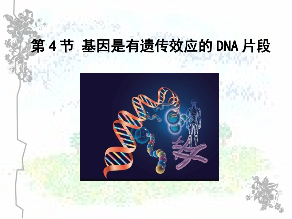 3.4《基因是有遗传效应的DNA片段》课件1_第1页