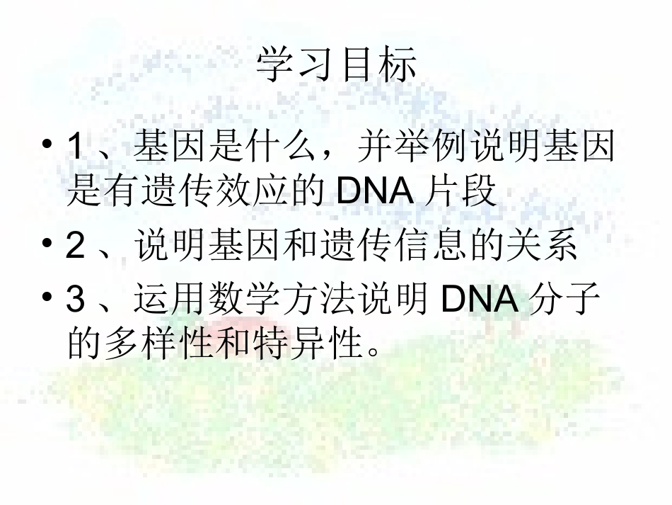 3.4《基因是有遗传效应的DNA片段》课件1_第2页