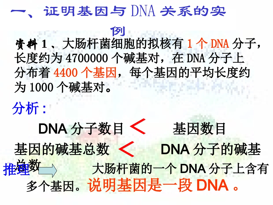 3.4《基因是有遗传效应的DNA片段》课件1_第3页