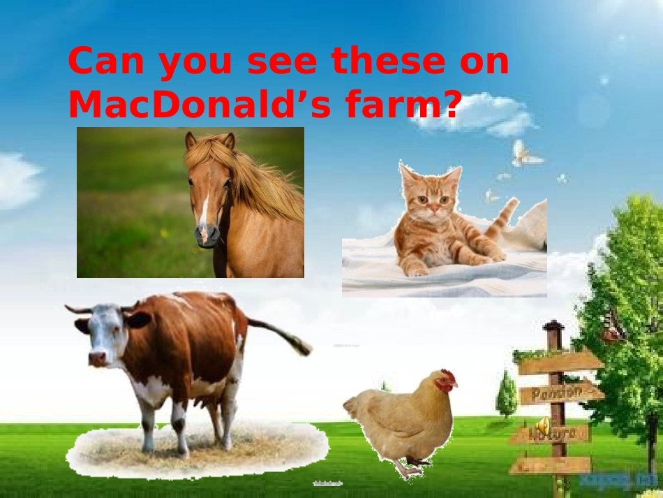 FARM第二课时_第2页