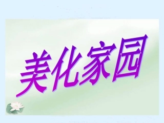 人教新课标品德与生活二下《美化家园》