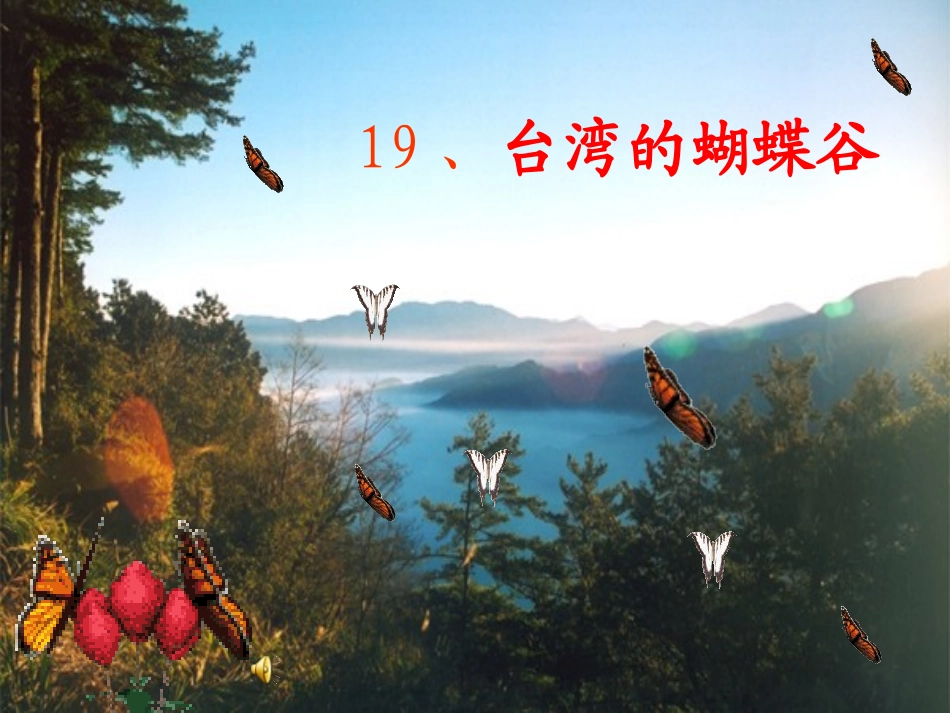 台湾的蝴蝶谷(1)_第1页