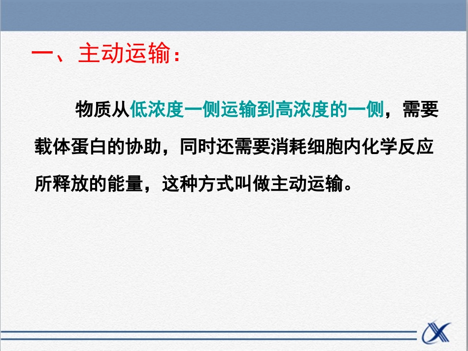 知识点-主动运输_第2页