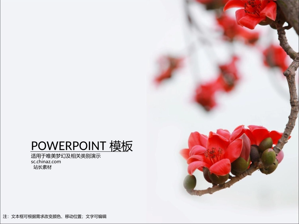 ppt4347_第1页