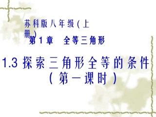 1.3探索三角形全等的条件(第1课时-SAS)-2