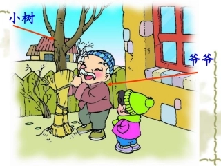 爷爷和小树ppt
