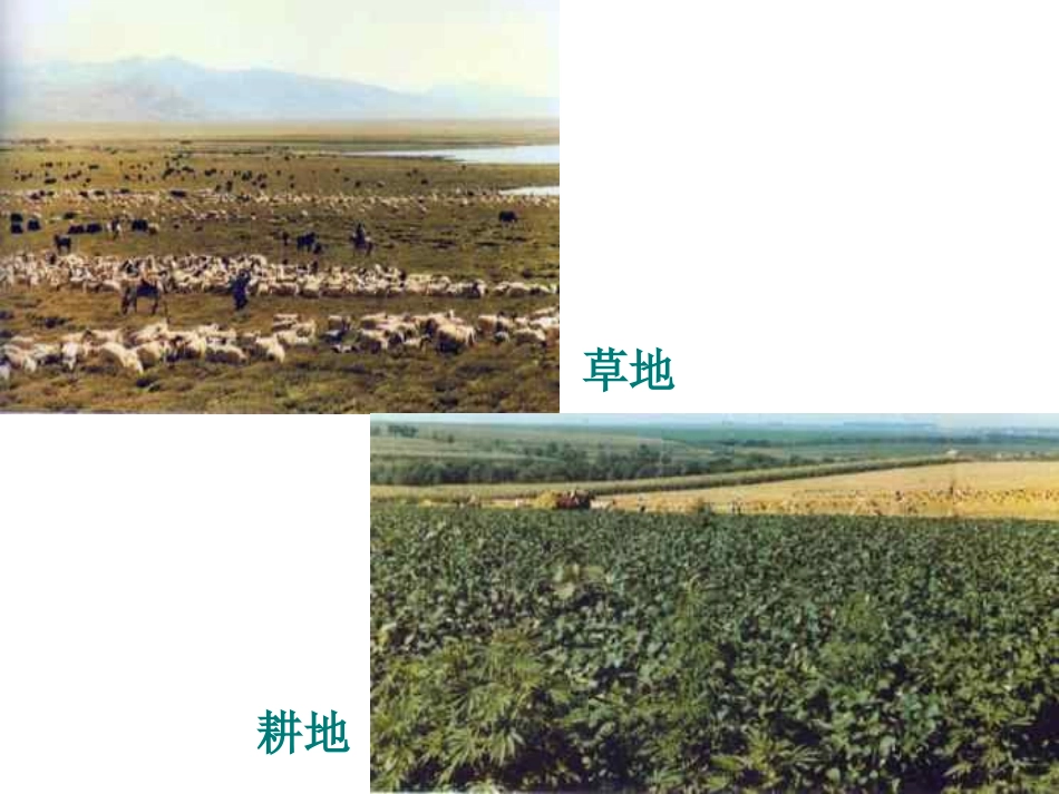 土地资源-王立杰_第3页