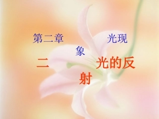 人教版《22光的反射》+flash课件