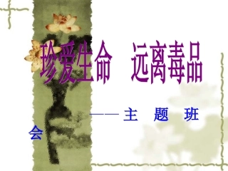 禁毒教育主题班会《远离毒品关爱生命》