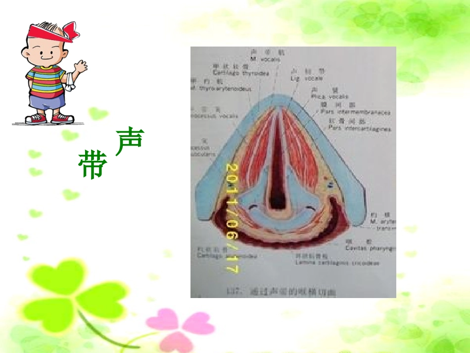 有趣的声音课件_第3页