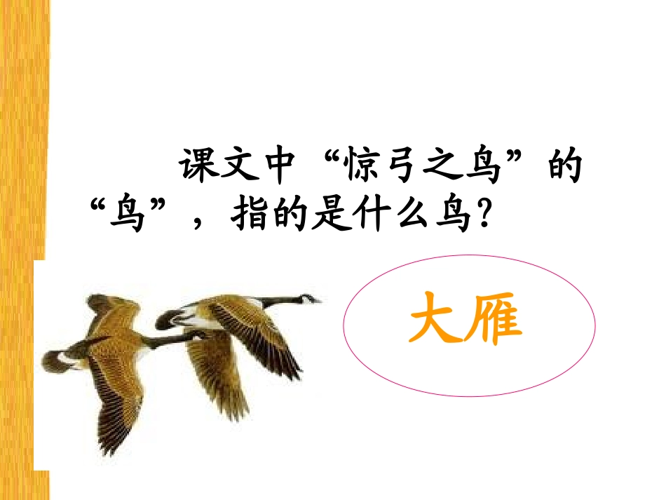 龙兰兰-惊弓之鸟)_第3页