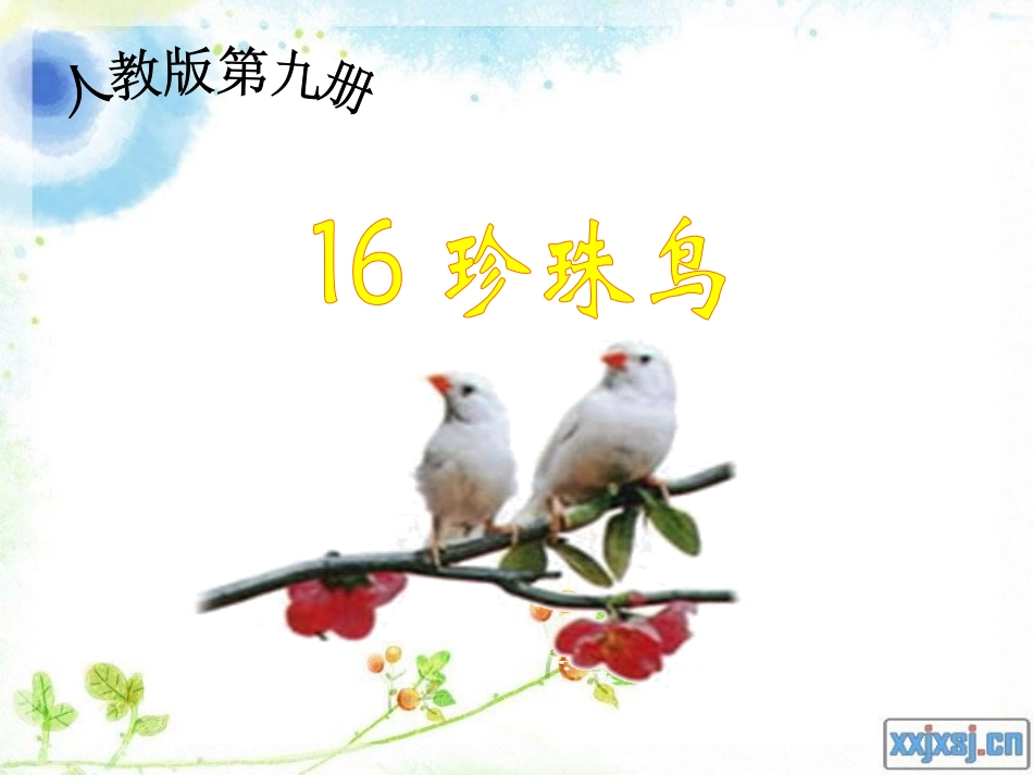 16珍珠鸟课件_第1页
