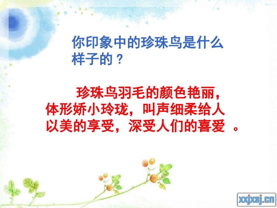 16珍珠鸟课件_第2页
