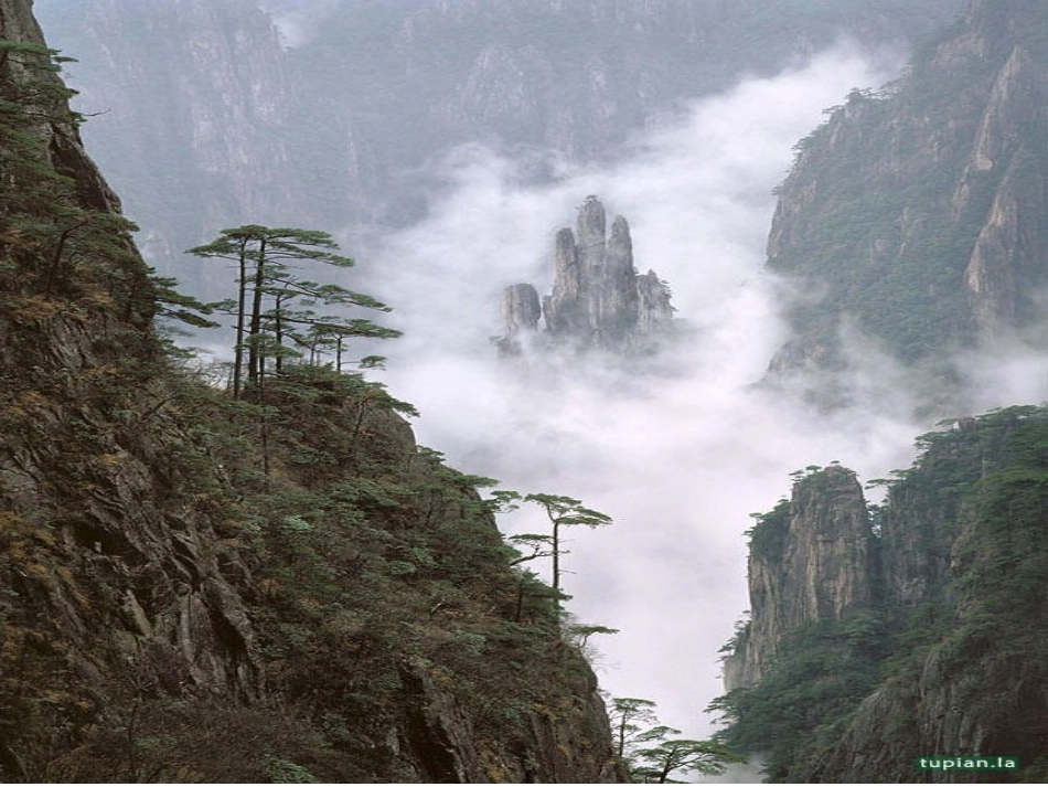 小学数学2011版本小学四年级观察问题_第1页