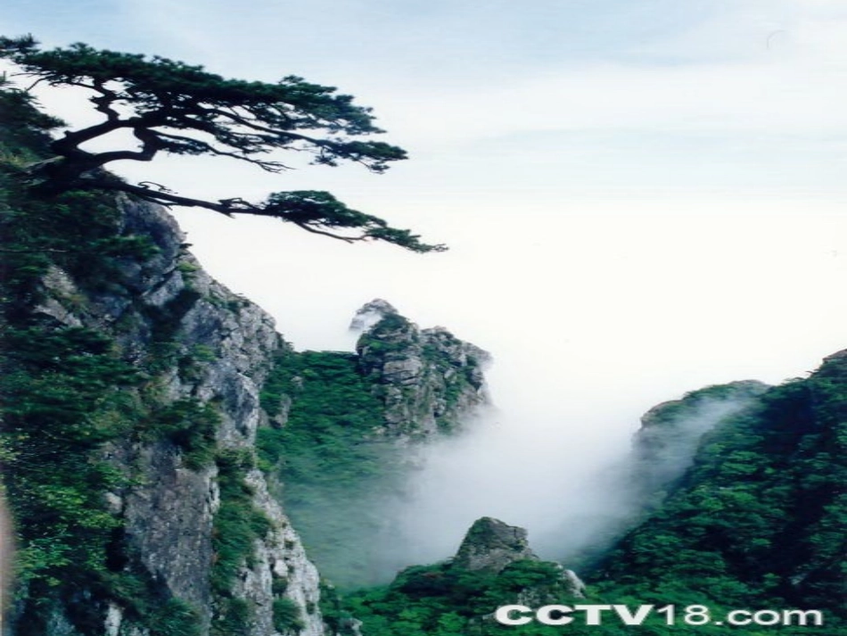 小学数学2011版本小学四年级观察问题_第2页