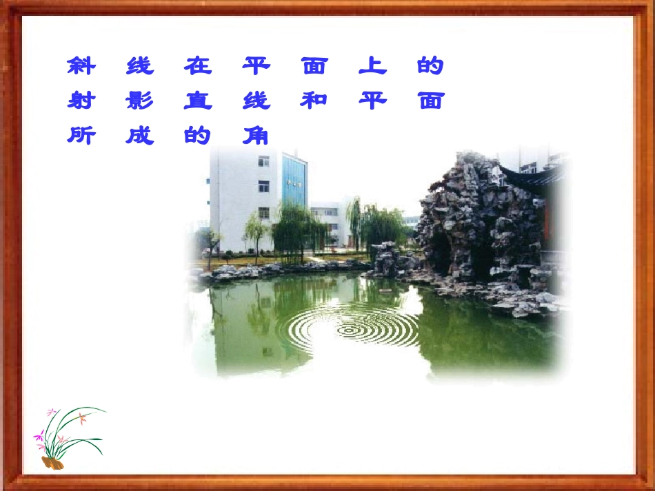 高一数学 直线在平面上的射影,直线和平面所成的角 ppt_第1页