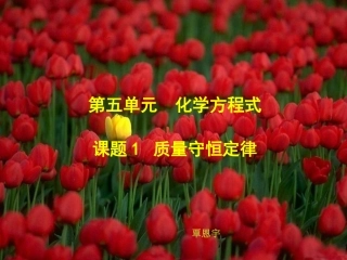 质量守恒定律（覃恩宇）