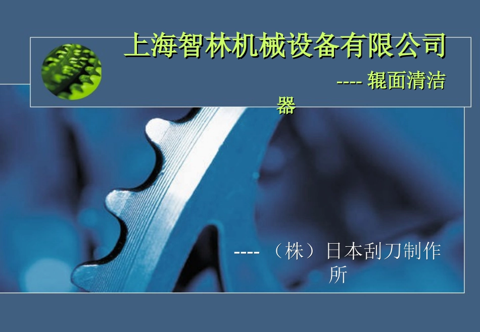 辊面清洁器-刮刀_第1页