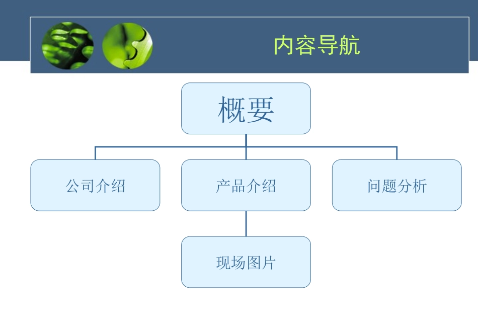 辊面清洁器-刮刀_第2页