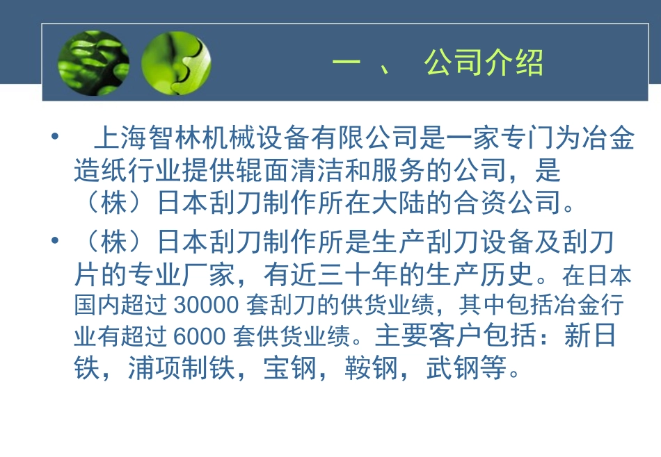 辊面清洁器-刮刀_第3页
