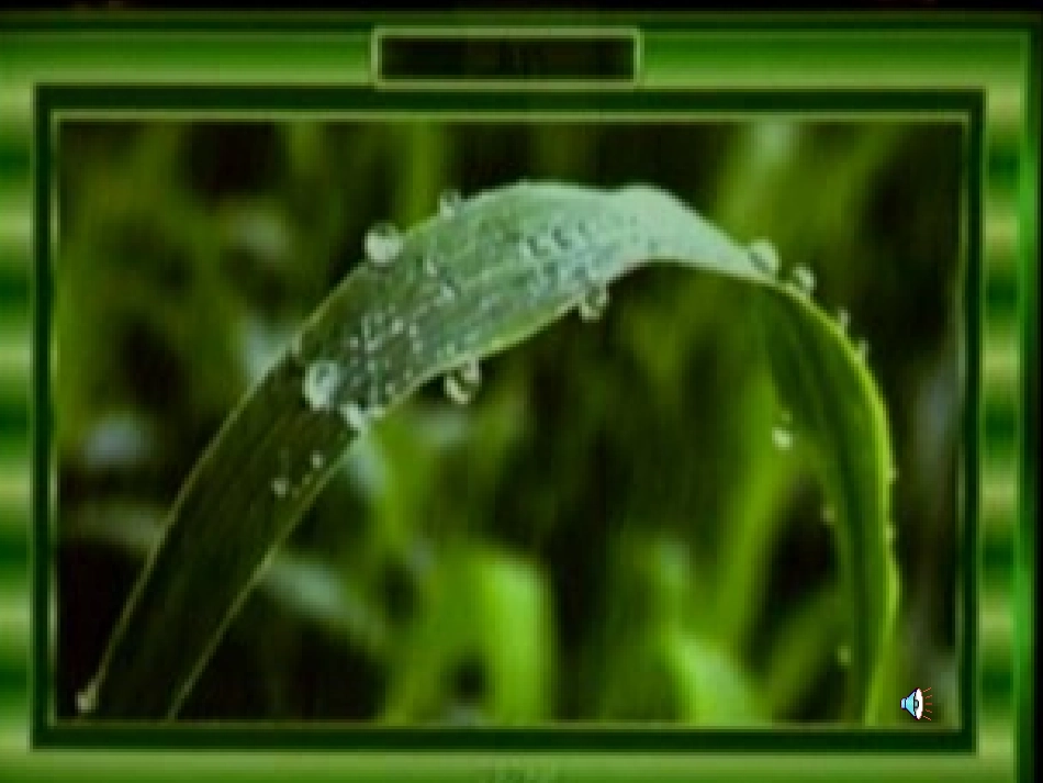 秋天的雨PPT课件(鄂思凡)_第2页