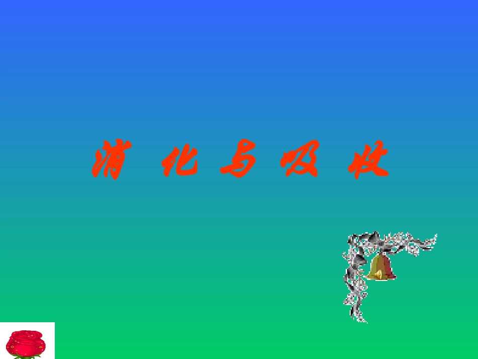 消化(2009年学校公开课)_第1页