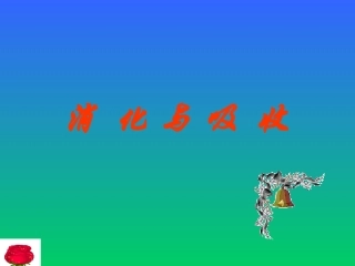 消化(2009年学校公开课)