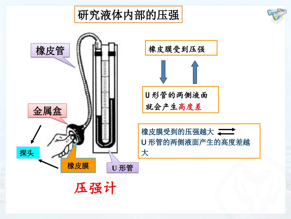 第九章第2节液体的压强_第3页