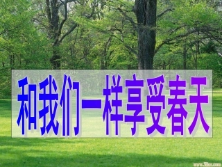 和我们一样享受春天上课课件