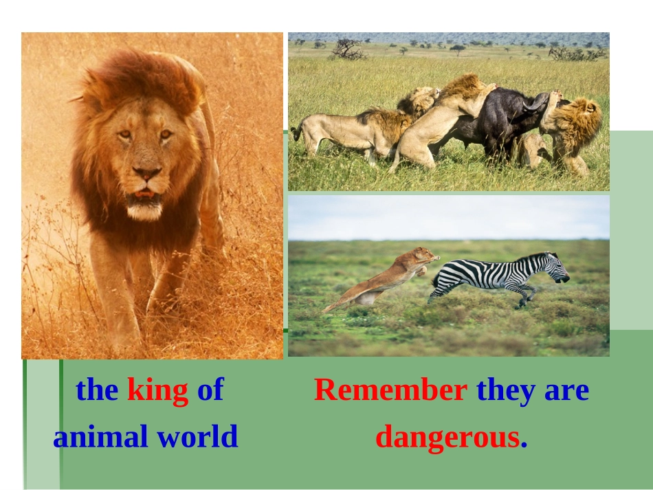 7B-U4-reading(1)_第3页