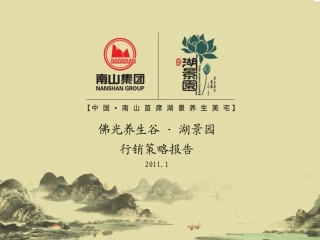 佛佑湖景园年度营销总案