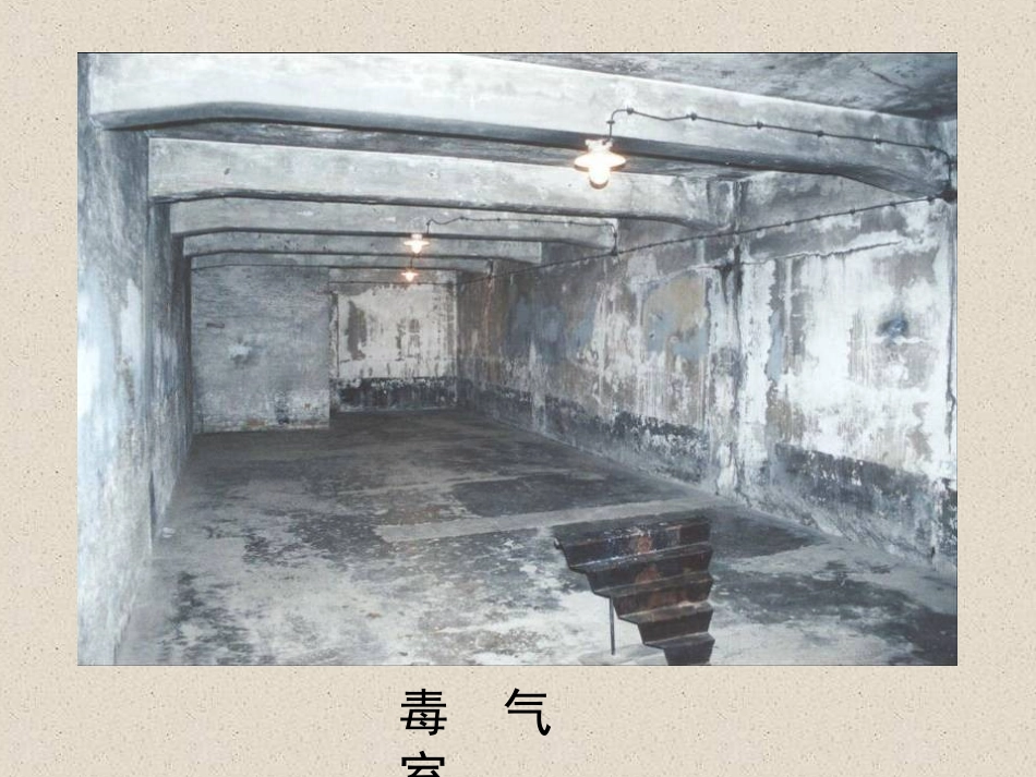 奥斯维辛没有什么新闻_第3页