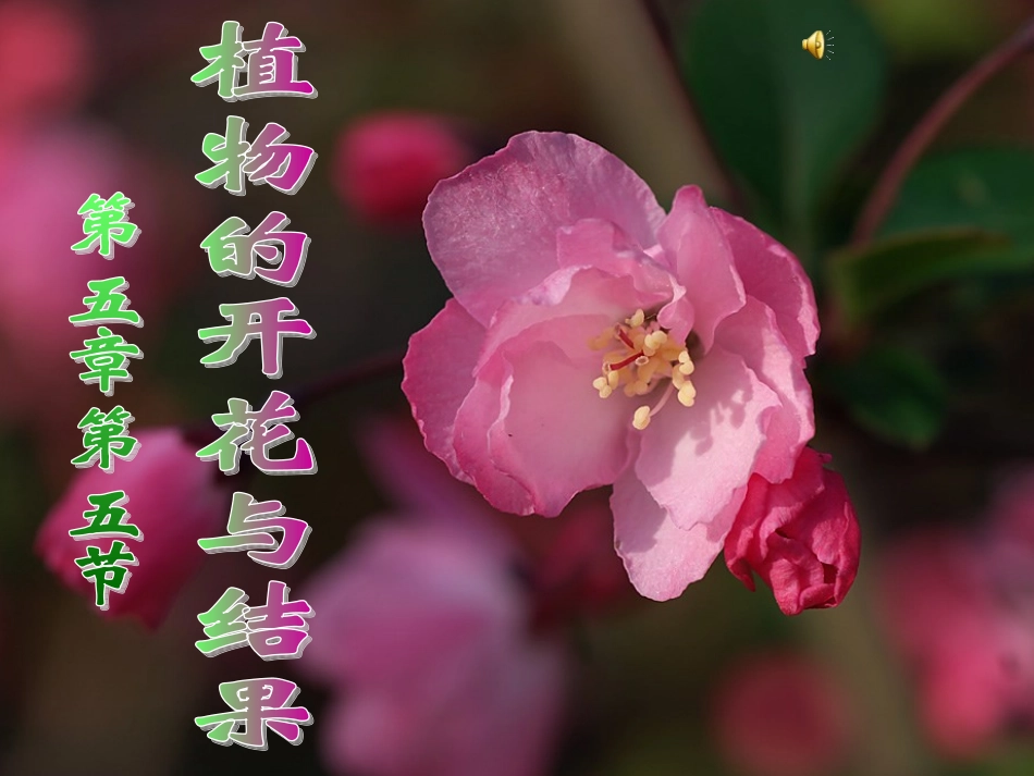 植物的开花和结果_第1页
