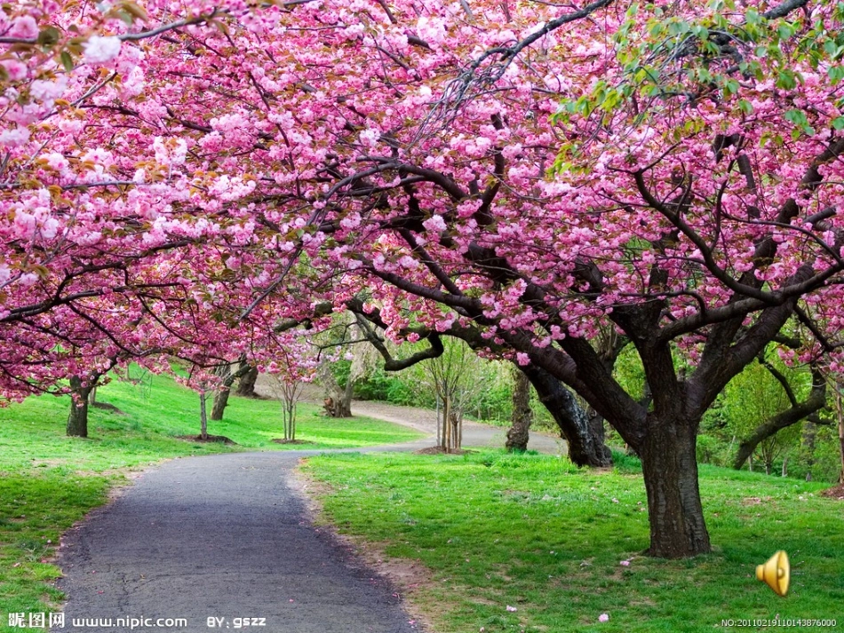 《燕子妈妈笑了》说课稿课件01_第2页