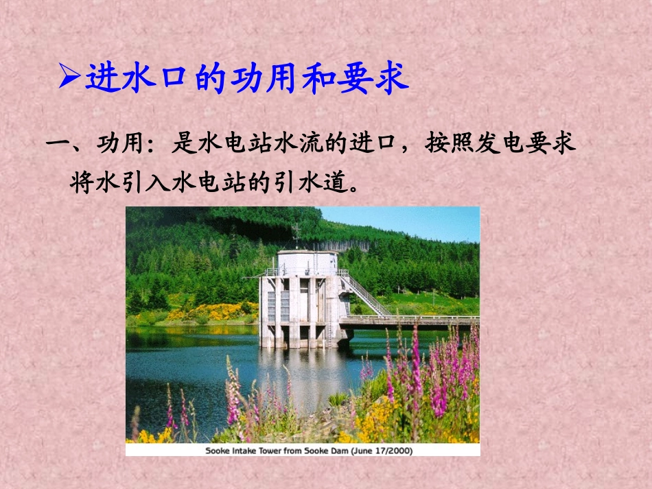 水电站建筑物-第二章-进水口与沉砂池-1_第2页