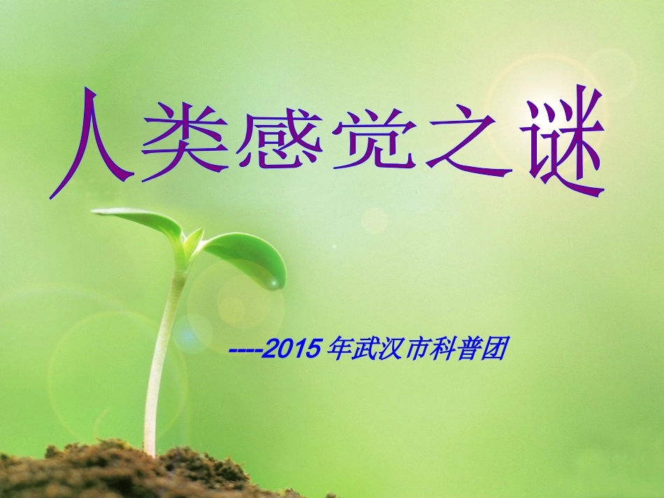 人类感觉之谜PPT_第1页