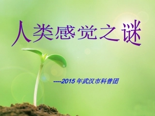 人类感觉之谜PPT
