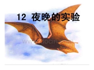 夜晚的实验演示文稿