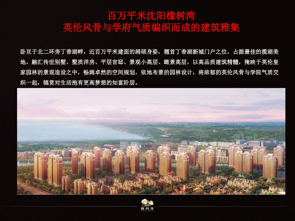 沈阳华润置地橡树湾二期推介1_第3页