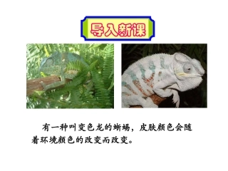 《变色龙》课件