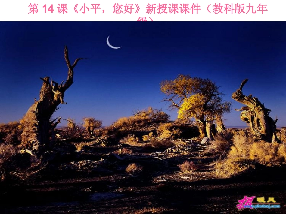 十四课，小平，你好_第1页