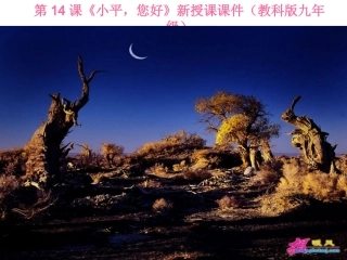 十四课，小平，你好