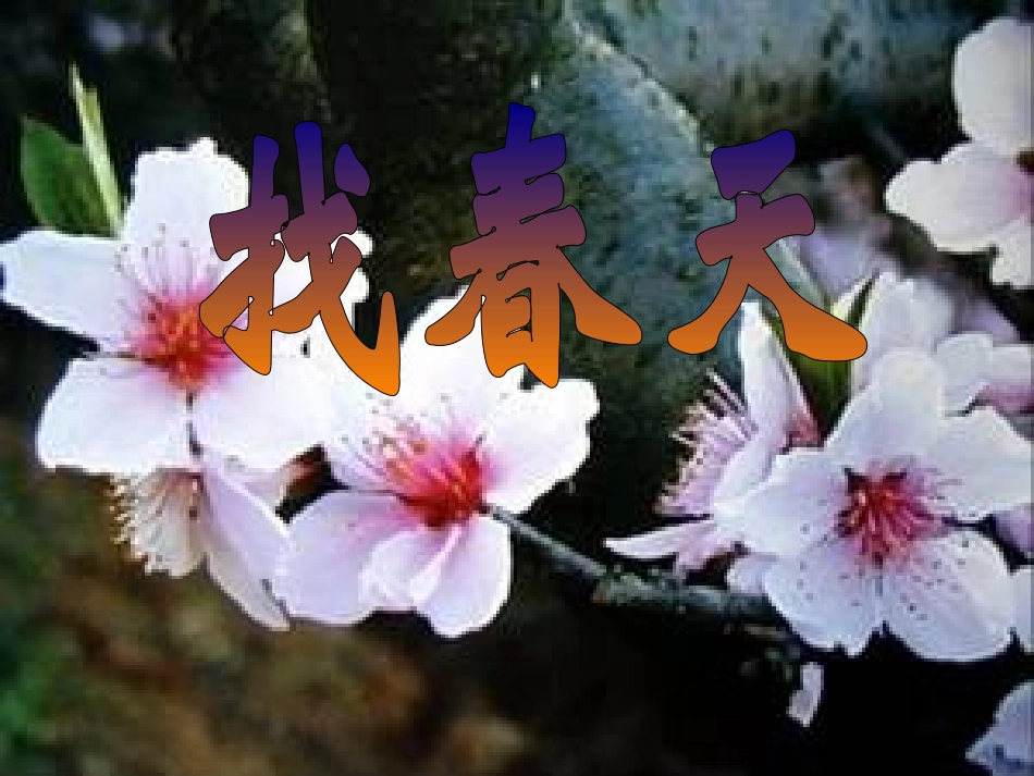 1.《找春天》课件_第1页