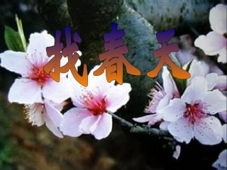 1.《找春天》课件
