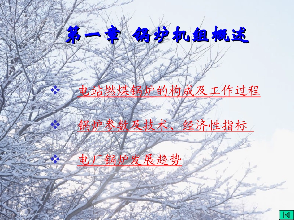 锅炉原理(武钢动力热力厂)_第2页