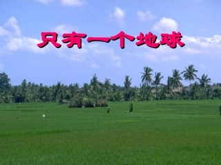 60《只有一个地球》课件